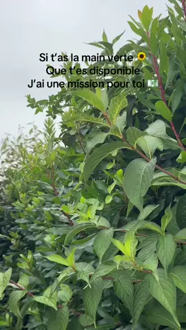 A post by @pidiyt on TikTok