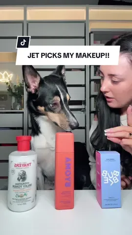 A post by @chantelleef on TikTok caption: Replying to @Kerry_Anne Jet LOVES doing these videos🐶🥹 Let’s do a full glam look with Jets picks👀 #makeuptok #dogtok Everything used: @Bubble Skincare Milky Toner @The Ordinary Copper Peptides Serum @Beauty of Joseon Dynasty Cream @e.l.f. Cosmetics UK Matte Power Grip Primer & hydro Concealer & boost mascara waterproof @nyxcosmetics_uk Brow Pen in Black @Max Factor 2000 calorie brow gel @Morphe Cosmetics Love Byte Palette & blush trio in cheek trills  @rimmellondon Wonderstick, Muti Tasker Bronzinf Stick @NARS Cosmetics Light reflecting foundation  @SHEGLAM Duo Pink Powder 