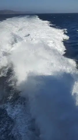 A post by @hamzadoboun on TikTok