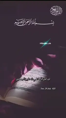 A post by @quranch on TikTok caption: #ابداع_واداء_متميز#تلاوة_مباركة#تجلب_الرحة_والسكينة