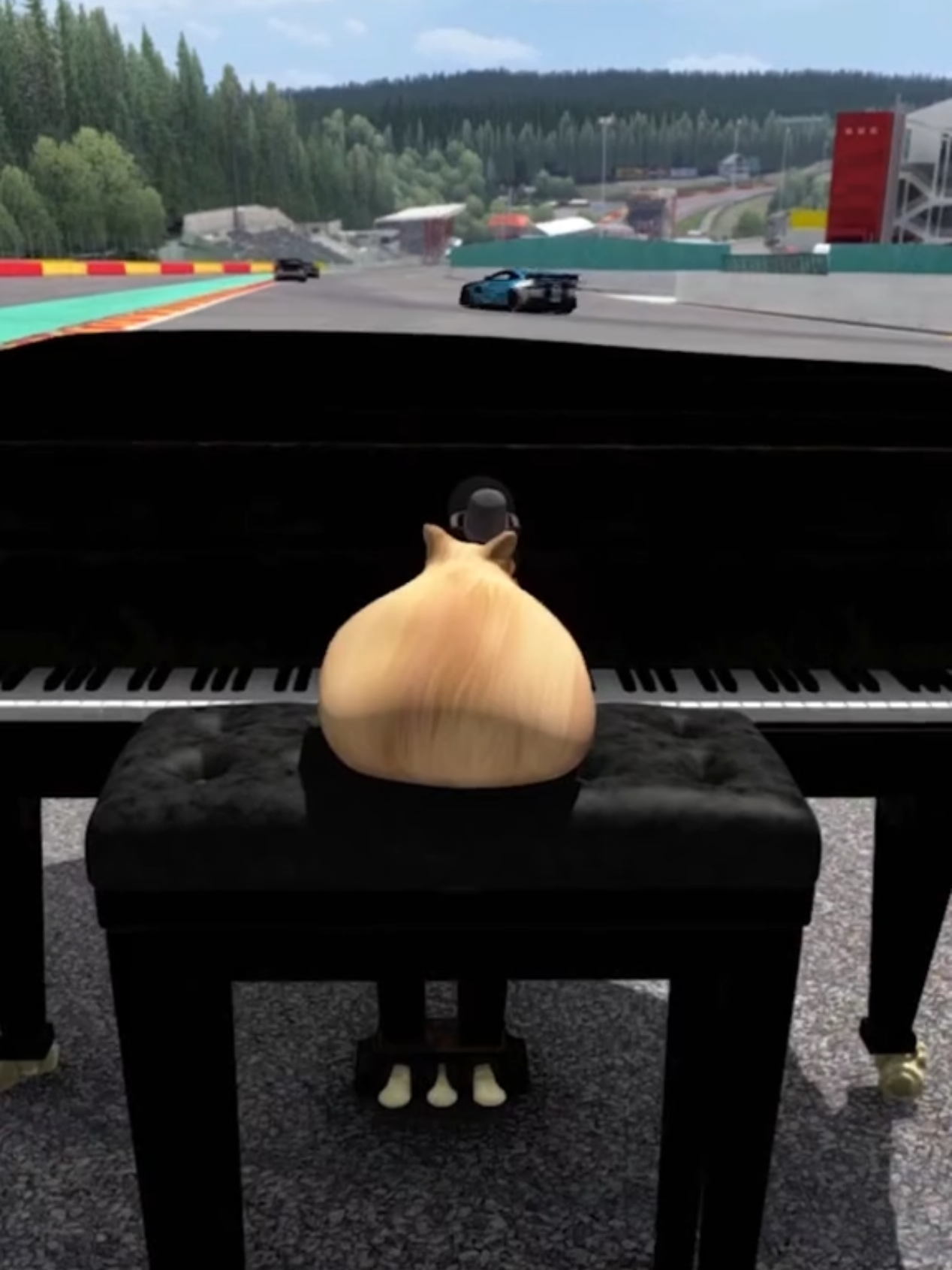 A post by @dmcgar on TikTok caption: When you call your cat a Queen. #onthisday #meow #pablo #animals #cat #cartok #catsofinstagram #fyp #speed #F1 