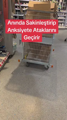 A post by @havine84 on TikTok caption: #tik_tok #videoviral #dm #VoiceEffects 