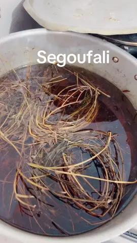 A post by @ddoucaradembo on TikTok caption: Segou Fali