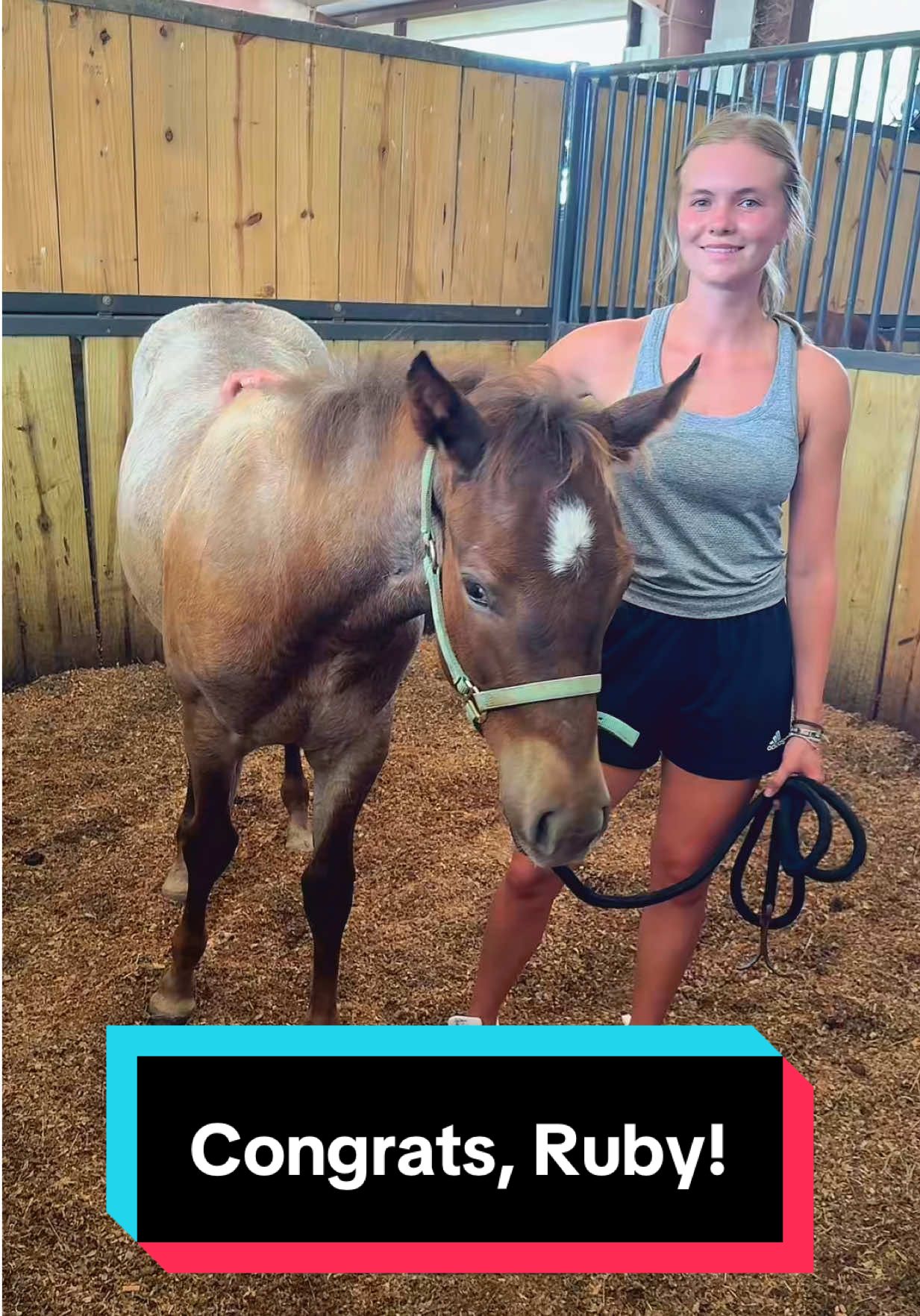 A post by @katievanslyke on TikTok caption: So excited for Ruby to go home with @Madalynn L Redline soon! She gets to be besties with her nephew Fred, and cousin Howie!😍🐴 
