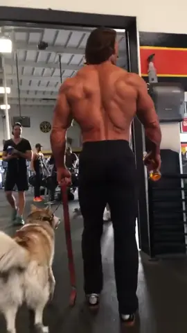 A post by @mikeohearn on TikTok