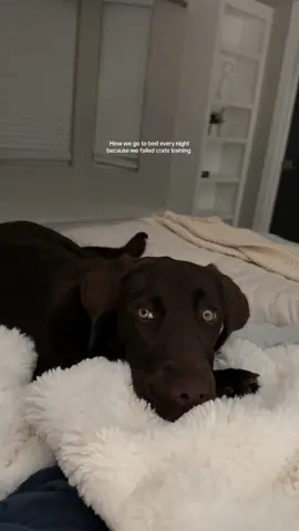 A post by @graciewetherbee on TikTok caption: Oops 