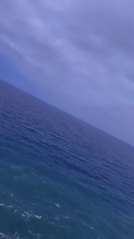 A post by @loredanamse96 on TikTok