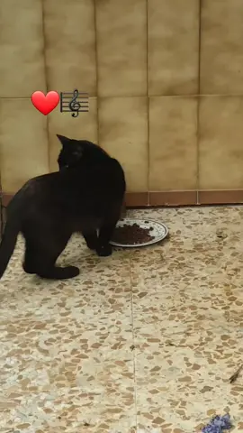 A post by @trilogar on TikTok caption: Feliz dia🌍❤ Se amable con todo aquello que te  rodea