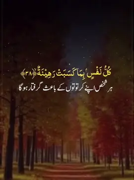 A post by @snobar_rajput on TikTok