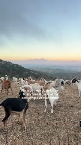 A post by @sadiejean on TikTok caption: I feel like the mother daughter duo would really fw it :( 