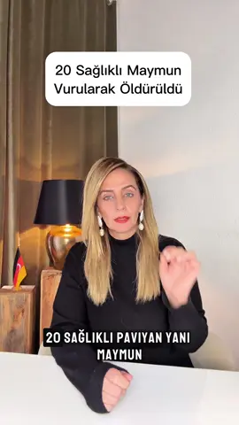 A post by @tuelay006 on TikTok caption: Almanya’nın Nürnberg Hayvanat Bahçesi’nde, kapasite yetersizliği gerekçesiyle 20 sağlıklı paviyan kafalarına ateş edilerek öldürüldü. Bazıları parçalanarak diğer hayvanlara yem yapıldı. Hayvan hakları örgütleri Pro Wildlife ve Deutscher Tierschutzbund kararı “önlenebilir bir cinayet” olarak nitelendirdi. Aktivistler protesto etti, bazıları gözaltına alındı. #nürnberg #nürnbergzoo #tierschutz #almanya #almanyadakitürkler #haber #news #sondakika #güncel #gündem