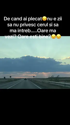 A post by @andreea_bld96 on TikTok