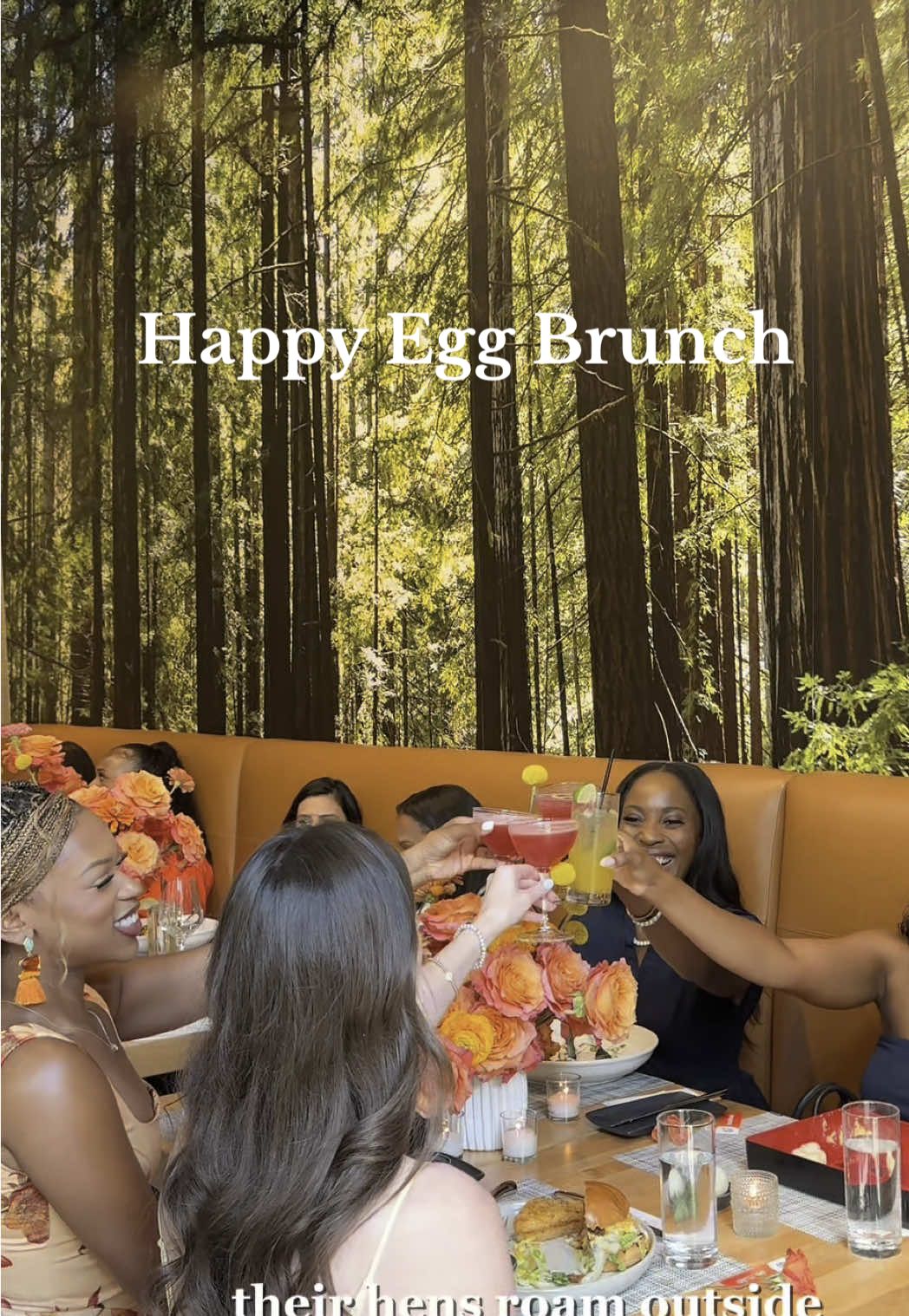 A post by @shuntyringfield on TikTok caption: Happy hens, yummy brunch😋 with @Happy Egg  #happyeggpartner