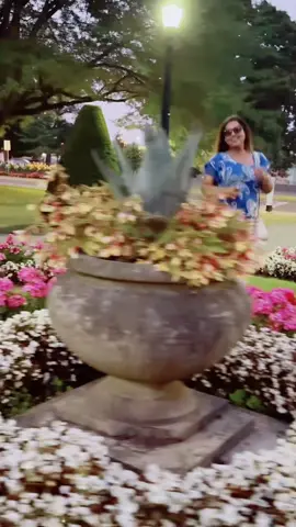 A post by @hasnachy_19 on TikTok caption: #fypシ #foryoupage #viral_😎 