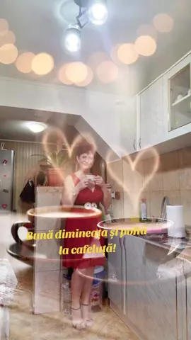 A post by @ionelbrenda on TikTok