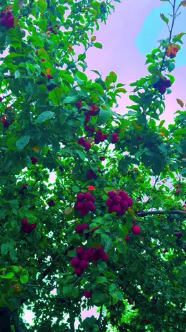 A post by @j9512farhana on TikTok caption: #wowww 