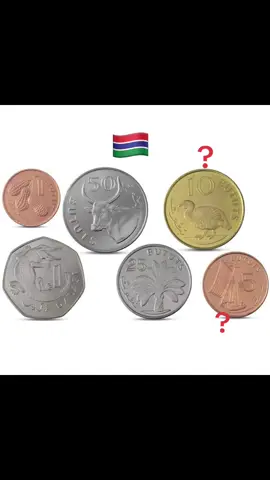A post by @new.blackfamily on TikTok caption: #soninkara🇸🇳🇲🇱🇲🇷🇬🇲🇬🇳 #pourtoii 