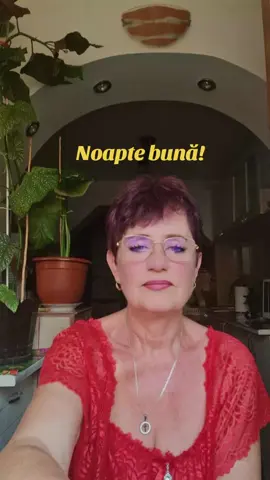 A post by @ionelbrenda on TikTok