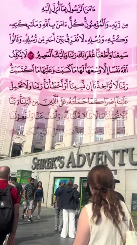 A post by @tasnimbegum117 on TikTok caption: #CapCut #iamic_madia_foryou🕋🕌🙏🙏♥️♥️ #fypシ゚viral🖤tiktok☆♡🦋myvideo❤️ 