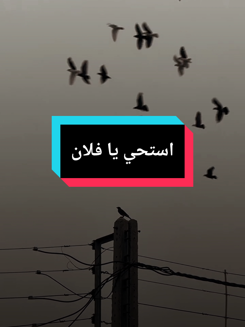 A post by @islam8qurann on TikTok caption: من لم يخاف في الدنيا أخافه الله يوم القيام ، كيف سيلاقي الله جل وعلا وهو على هذه الحالة،الشيخ عثمان #islam8qurann #islam8quran #islam8quran2 