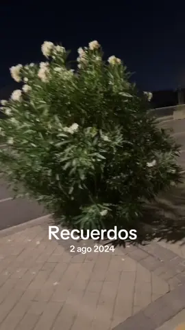 A post by @modibo_toure1 on TikTok caption: #Recuerdos 