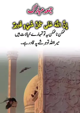 A post by @snobar_rajput on TikTok