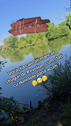 A post by @mihaelammanu on TikTok caption: #🤪 #🤣🤣🤣 