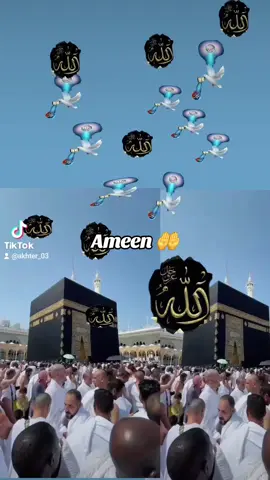 A post by @akhter_03 on TikTok caption: #foryoupage #foryou #4upage #🕋🤲🤲 #🤲🤲🤲 #🙏🤲🕋 #allahuakbar #4u #akhter🌹 #fyp #shaful411 #islamic_video #🙏 #☝️ 