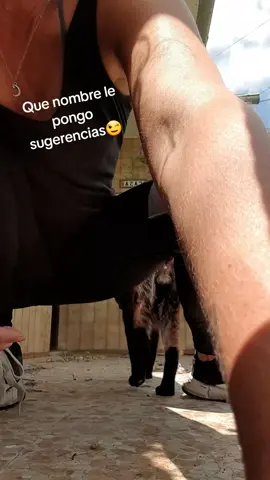 A post by @trilogar on TikTok caption: Rescate sin traumas😊😍🙏💪