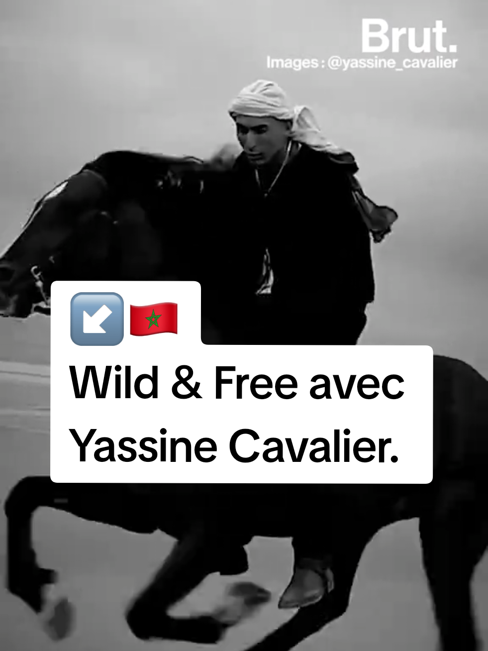 A post by @brutafrique on TikTok caption: 🇲🇦 "C’est une connexion entre toi et le cheval, c’est comme dans le film Avatar. "  Sur son compte Instagram, Yassine partage sa passion pour ses chevaux. Ses vidéos font aujourd'hui des millions de vues. Brut l'a rencontré, chez lui, à Diabat, près d'Essaouira. #animaux #équitation #maroc #afrique #avatar