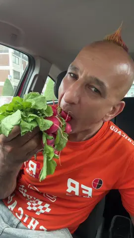 A post by @metinacarsevgininyolu1 on TikTok