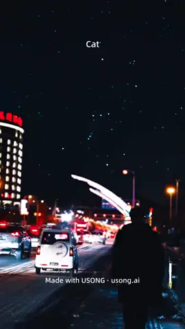A post by @semper.animator on TikTok caption: #USONG 