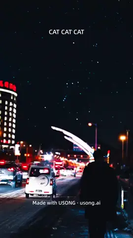 A post by @semper.animator on TikTok caption: #USONG 