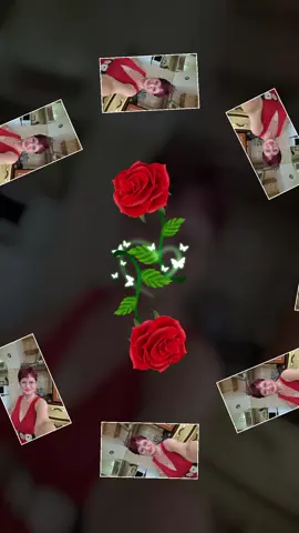 A post by @ionelbrenda on TikTok