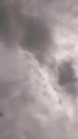 A post by @amarami433 on TikTok