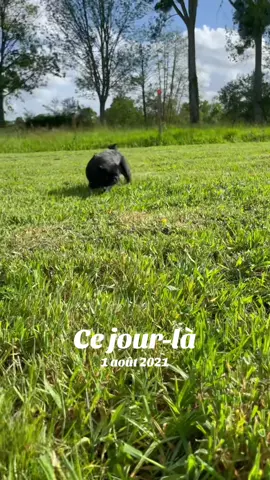 A post by @pidiyt on TikTok caption: #cejour-là 
