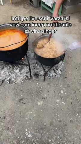 A post by @te.pot.cuceri69 on TikTok caption: #viral#flypシ #forpageyou 