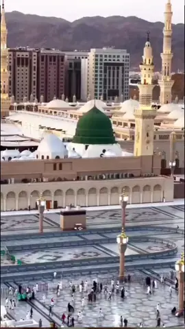 A post by @p.begam2020 on TikTok