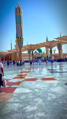A post by @p.begam2020 on TikTok