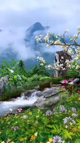 A post by @p.begam2020 on TikTok