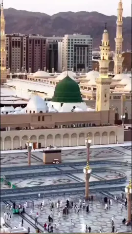 A post by @p.begam2020 on TikTok