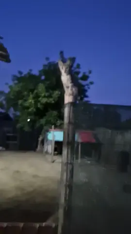 A post by @ionelbrenda on TikTok