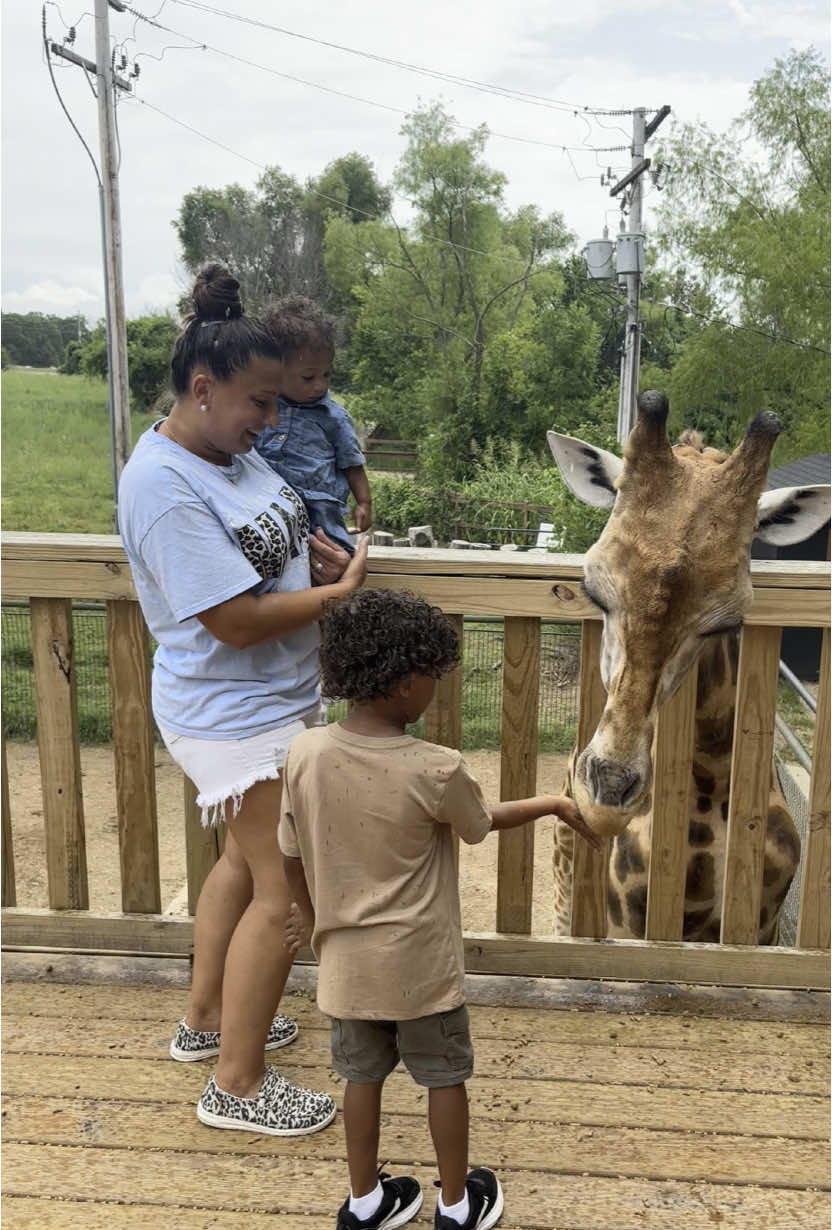 A post by @kaylajacobs94 on TikTok caption: My babies 🫶🏽🩵🩷