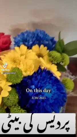 A post by @poppynanalovefamily on TikTok caption: #treanding #pottery #onthisday #happyfathersday 